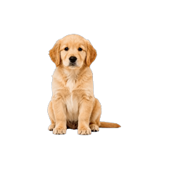 Milo